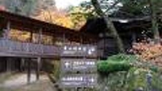 紅葉の中で東山の寺町を散策