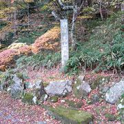 小高い公園になっています