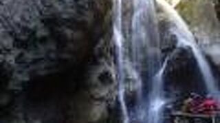 壮大な水の森・雨龍の滝