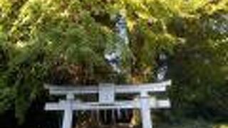 神田上水の守護神です。