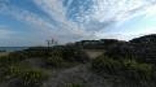 はまゆうが咲き龍神様を祀る神社あり