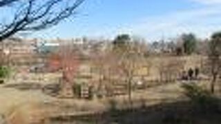 凧揚げもできる広い公園です