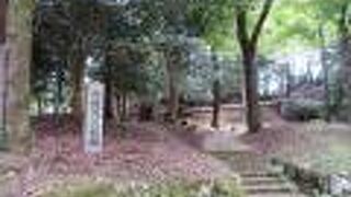 かなり見つけにくいです