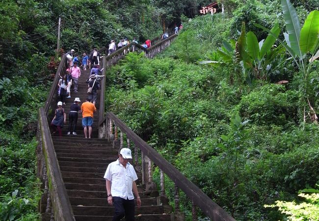 小さいながらも纏まった鍾乳洞