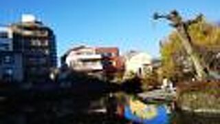 桜川の清流はここから