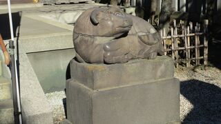 丑年に牛天神（北野神社）で初詣