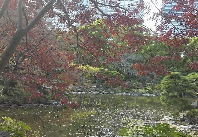 日比谷公園 雲形池 クチコミ アクセス 営業時間 銀座 有楽町 日比谷 フォートラベル 日比谷公園 雲形池 クチコミ アクセス 営業時間 銀座 有楽町 日比谷 フォートラベル