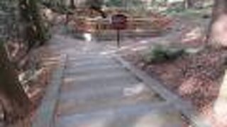 非常出入り口だったのねぇー