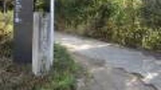 宇治川沿いの散策路