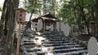 個人的なお願いをしてもいいそうです