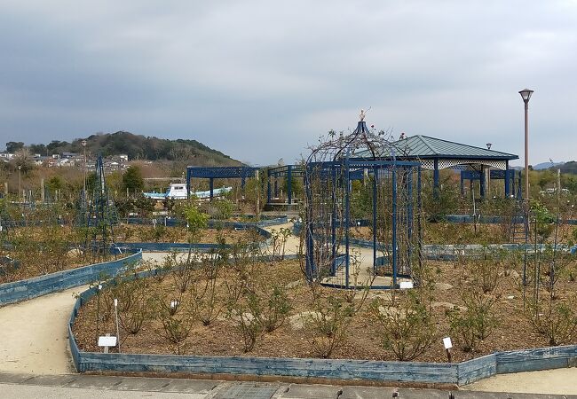 大規模バラ園