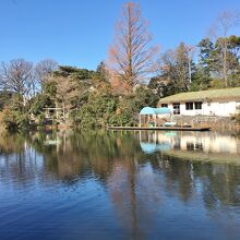 冬の武蔵関公園