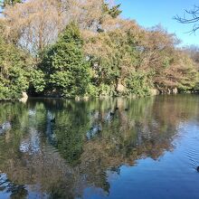 冬の武蔵関公園 