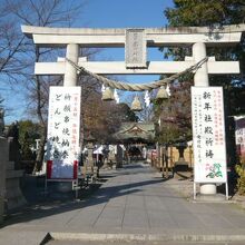 川口の鎮守氷川神社の入口の鳥居です。七五三の準備の真っ最中