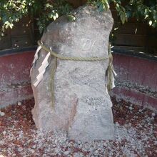 鎮守氷川神社の参道の横には、由緒のありそうな石の塔があります