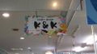 表はアイス裏は弁当