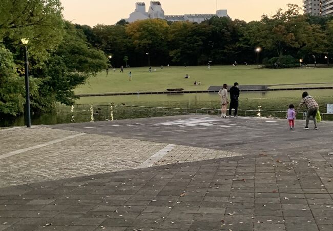 多摩中央公園 クチコミ アクセス 営業時間 多摩 フォートラベル 多摩中央公園 クチコミ アクセス 営業時間 多摩 フォートラベル
