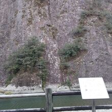 でかくて入りきらない