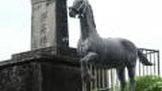 空港バスからいつも見えて気になってた！