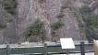 本当にそうなの？