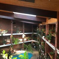 プールで日焼け止めは必要ありません。