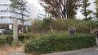 国道1号線沿いにあります。