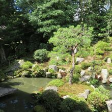 うっとりしますね