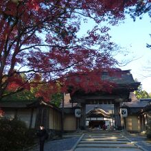なだらかな石段を登り山門へ