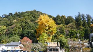 広いので時間が限られる時は、下調べをしている事が良いと思います