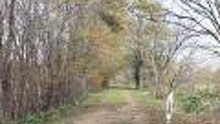 旧根室線の廃線跡