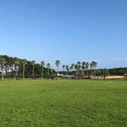 湘南海岸の砂防林に隣接している海辺の公園