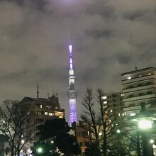 公園からみたスカイツリー