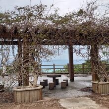 ここへ至る道は良くない