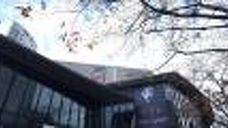 ミュージカルを観覧