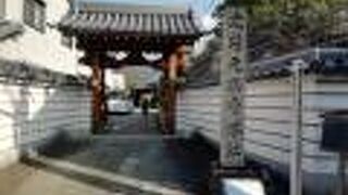 推定約50ｍの五重塔