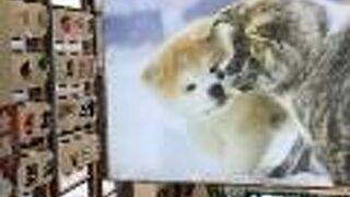 秋田犬グッズがたくさん！