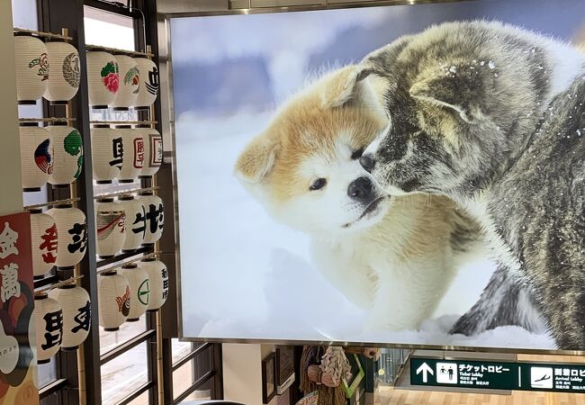秋田空港 クチコミ アクセス 営業時間 秋田市 フォートラベル 秋田空港 クチコミ アクセス 営業時間 秋田市 フォートラベル