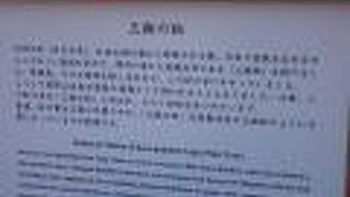 松の葉が3葉の木