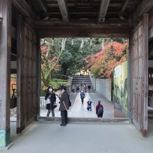 社務所門と紅葉