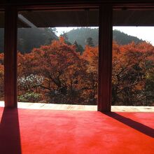 石水院の南面から見る紅葉