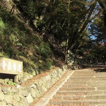 高山寺参道