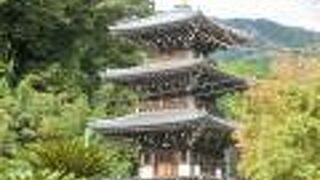 人気ドラマの「半沢直樹」のロケに使われた、三重塔が印象的なお寺です。