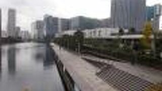 一部は緑地がつくられています。