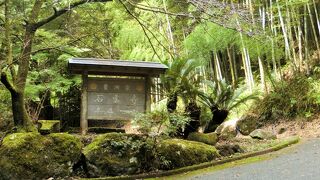 大友皇子のお墓？？？　本当？