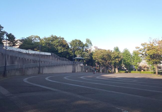 公園というよりも山という感じ