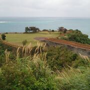 写真映えする台地状の緑