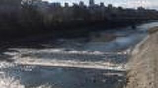 京都市のシンボルの一つ