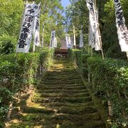 杉本寺の苔の石段