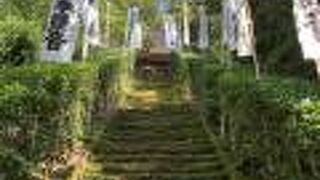 杉本寺の苔の石段