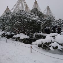 雪景色